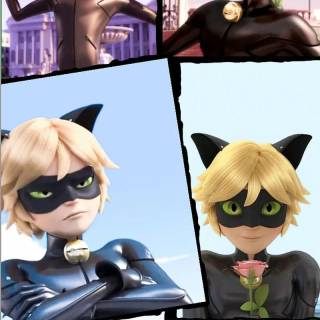 Cat Noir collage wallpaper