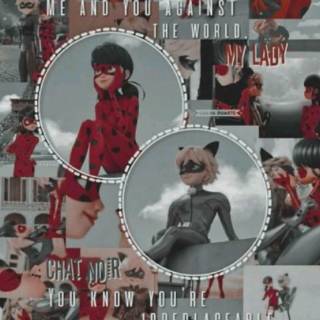 Cat Noir collage wallpaper