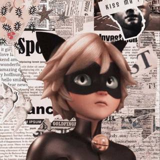 Cat Noir collage wallpaper