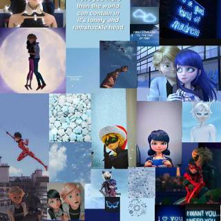 Cat Noir collage wallpaper