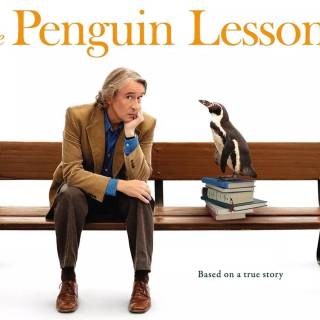 The Penguin Lessons wallpaper