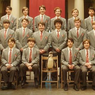 The Penguin Lessons wallpaper