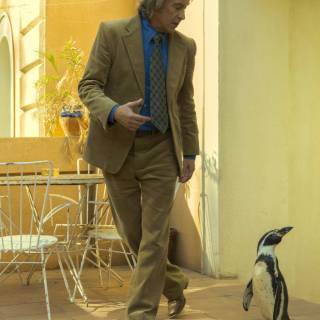 The Penguin Lessons wallpaper