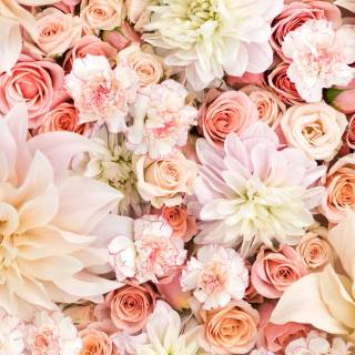 Flowers aesthetic computer wallpaper