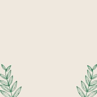 Flowers aesthetic computer wallpaper