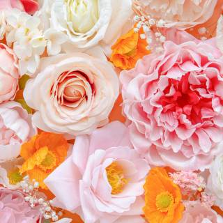 Flowers aesthetic computer wallpaper