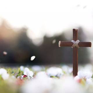 Lent season wallpaper