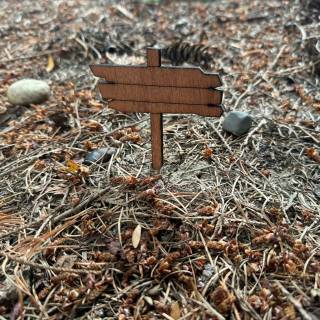 Blank sign wallpaper