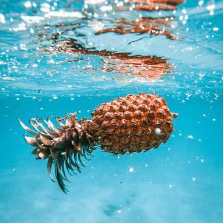 Preppy fruit wallpaper