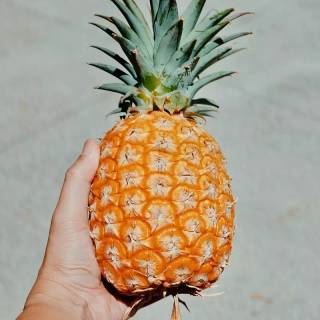 Preppy fruit wallpaper