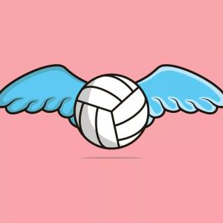 Volleyball pink wallpaper