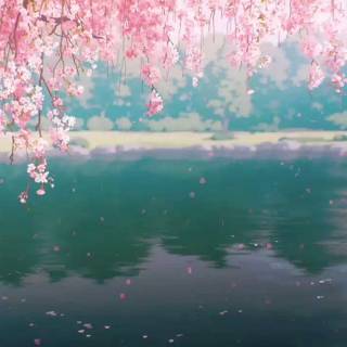 Watashi no Shiawase na Kekkon wallpaper