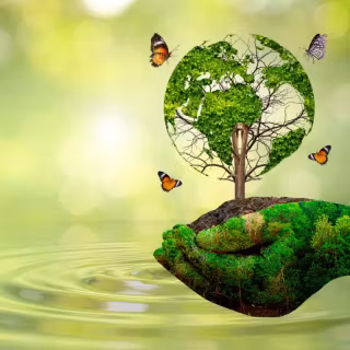 Green future wallpaper
