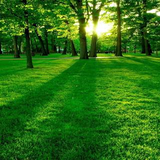 Green future wallpaper