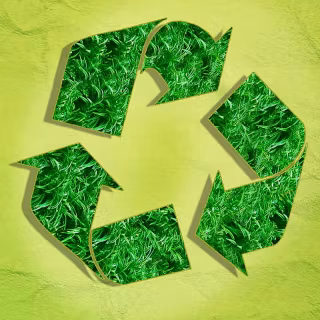 Green future wallpaper