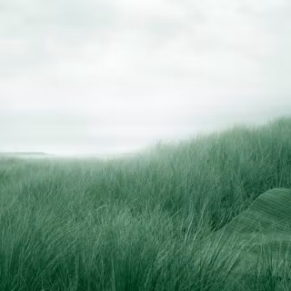 Green future wallpaper