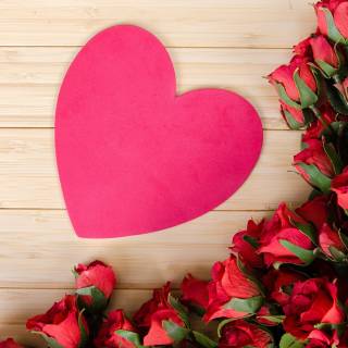 Flowers desktop 4k wallpaper