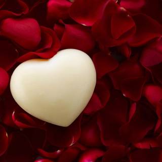 Flowers desktop 4k wallpaper