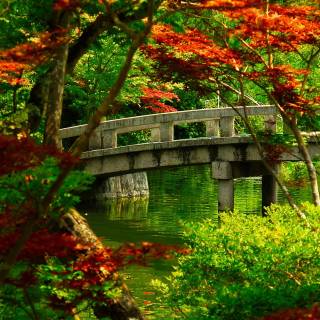 4k Japan landscape wallpaper