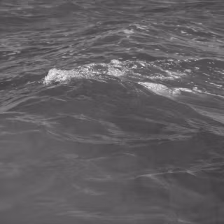 Black wave 4k wallpaper