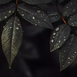 Dark water 4k wallpaper