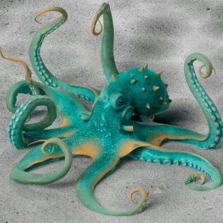 4k octopus wallpaper