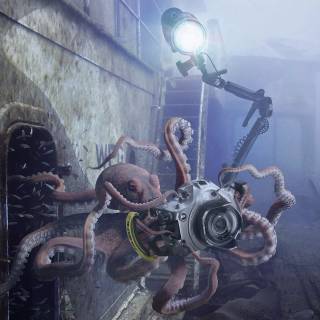 4k octopus wallpaper