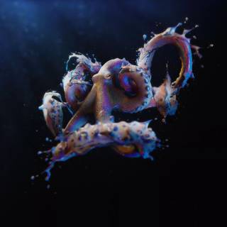 4k octopus wallpaper