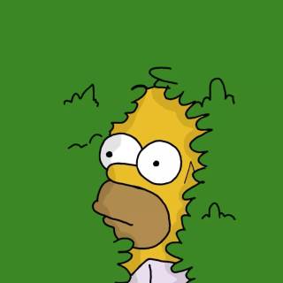 Homer phone wallpaper