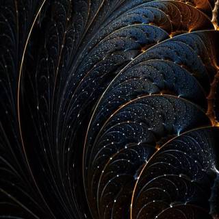 Fractal phone wallpaper