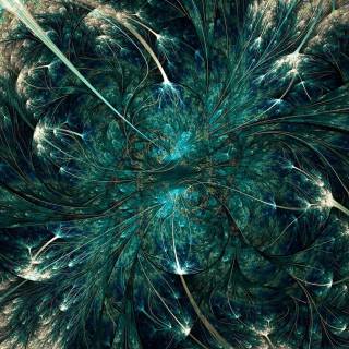 Fractal phone wallpaper