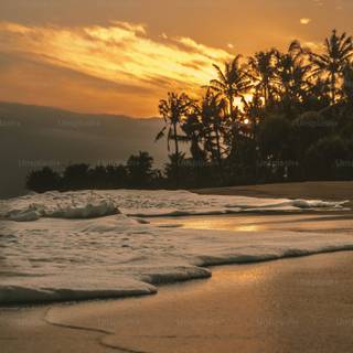 Aesthetic beach phone wallpaper