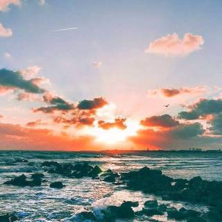 Aesthetic beach phone wallpaper