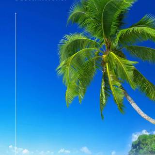 Aesthetic beach phone wallpaper