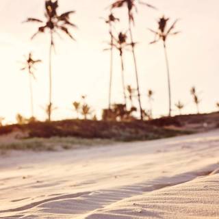 Aesthetic beach phone wallpaper