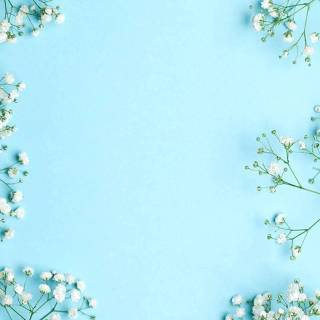 Blue cute phone wallpaper