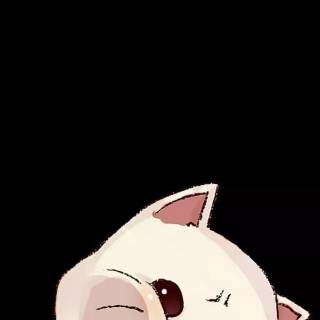 Cat anime iPhone wallpaper