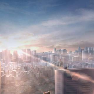 Cat anime iPhone wallpaper