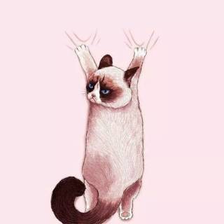 Cat anime iPhone wallpaper