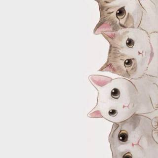 Cat anime iPhone wallpaper