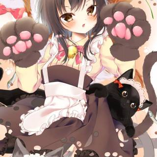 Cat anime iPhone wallpaper