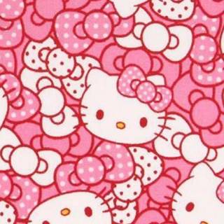 Cat anime iPhone wallpaper