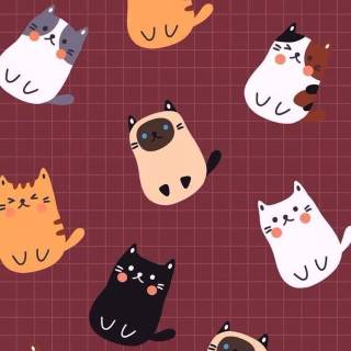 Cat anime iPhone wallpaper
