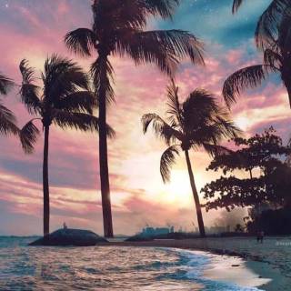 Florida beach iPhone wallpaper