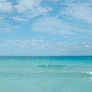 Florida beach iPhone wallpaper