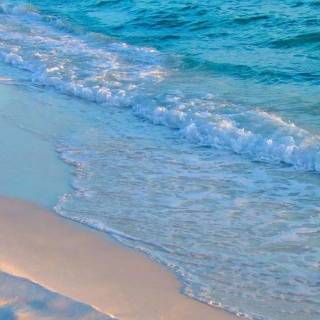 Florida beach iPhone wallpaper