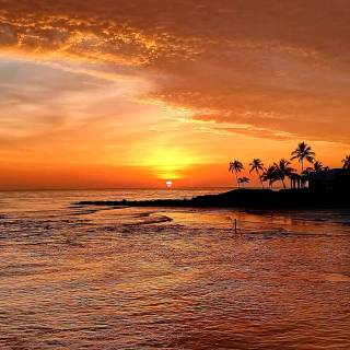 Florida beach iPhone wallpaper