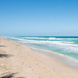 Florida beach iPhone wallpaper