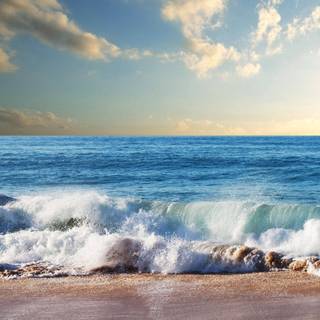 Florida beach iPhone wallpaper