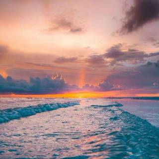 Florida beach iPhone wallpaper